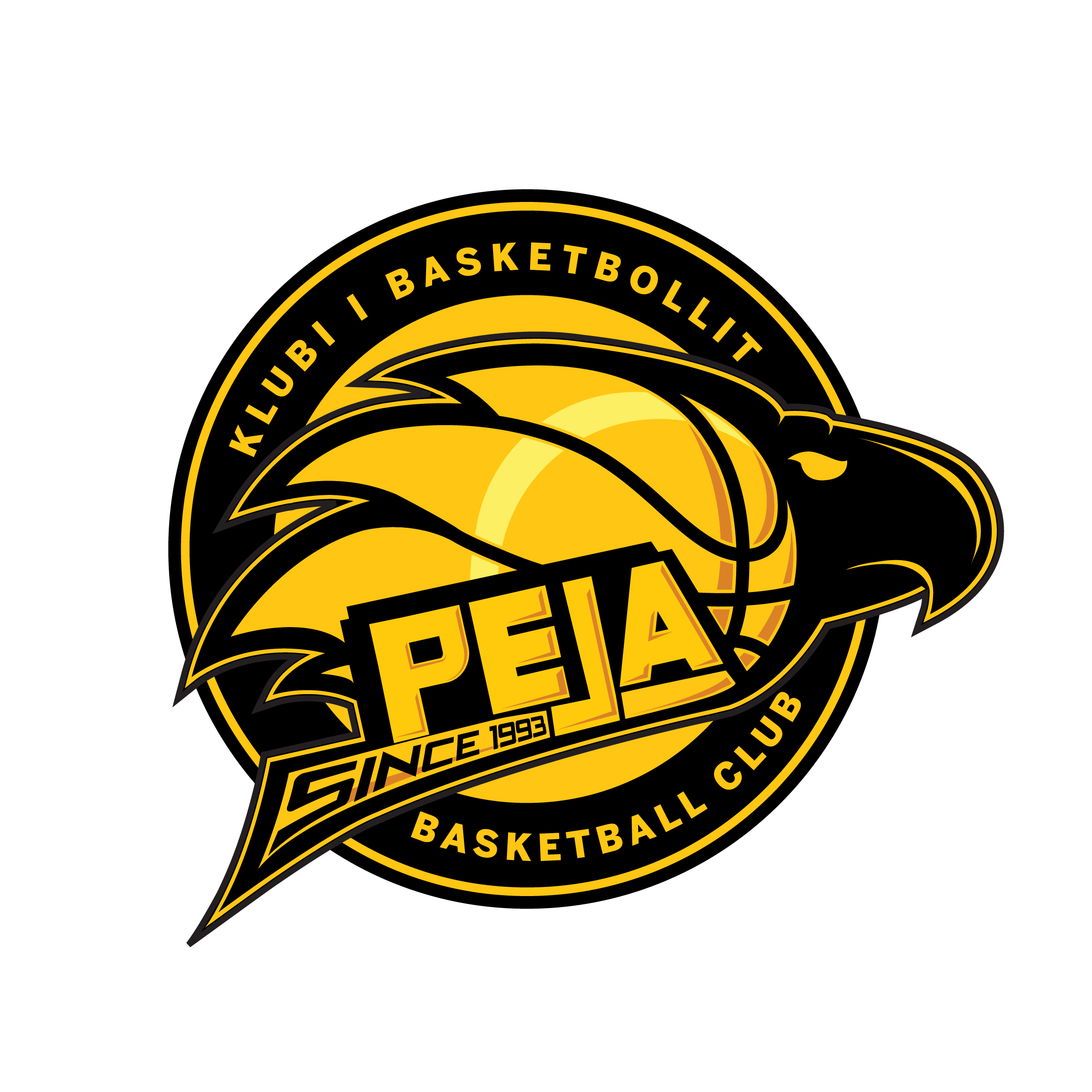 Team logo
